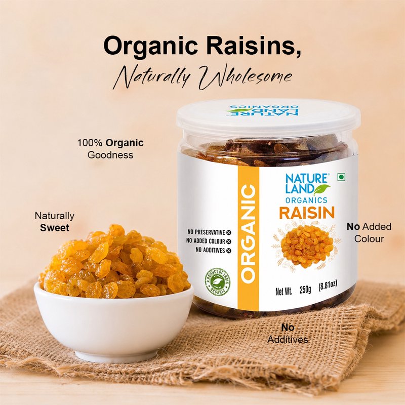 Natureland Organics Raisins 250g | 100% Organic Kishmish | Naturally Sweet Dried Grapes Rich in Fibre & Iron for Snacking, Desserts & Baking
