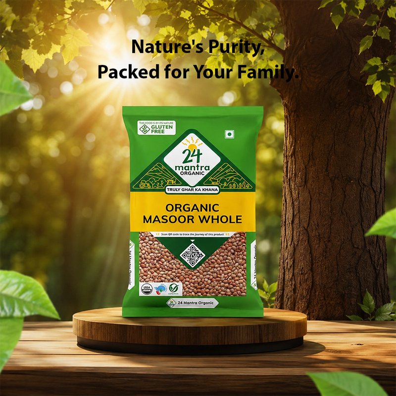 24 Mantra Organic Whole Masoor 500g | Brown Lentils | Premium Whole Lentils | Perfect for Dal, Soups & Curries