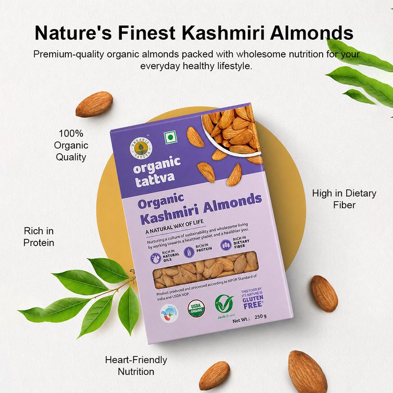 Organic Tattva Kashmiri Almonds | Premium Quality Kashmiri Badam | Pure Whole Almonds | Nutritious Dry Fruits with Crunchy Taste