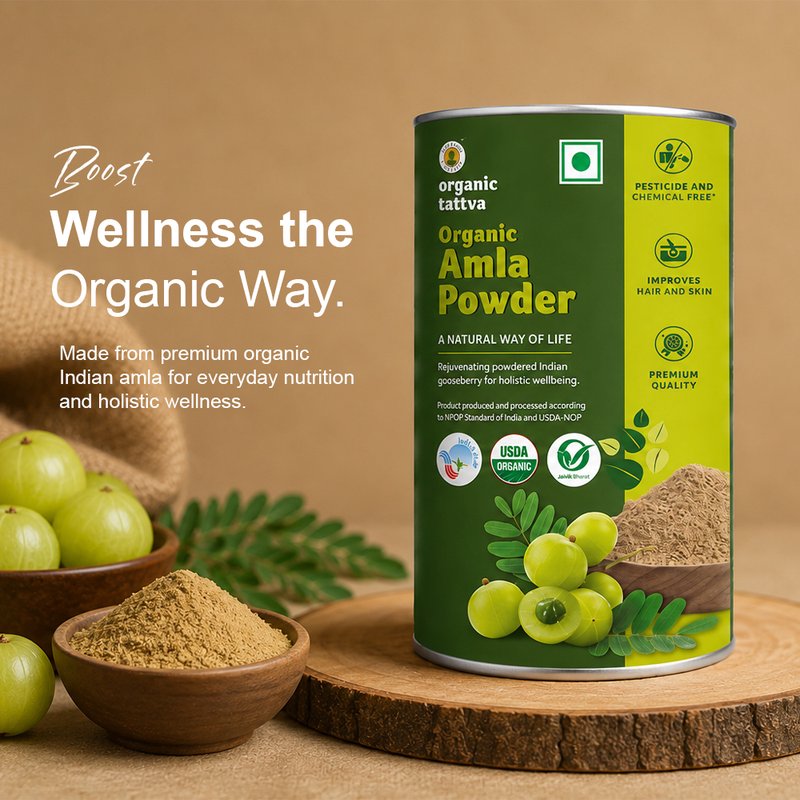 Organic Tattva Amla Powder | Organic Indian Gooseberry Powder | Ayurvedic Herbal Powder | High in Vitamin C Superfood