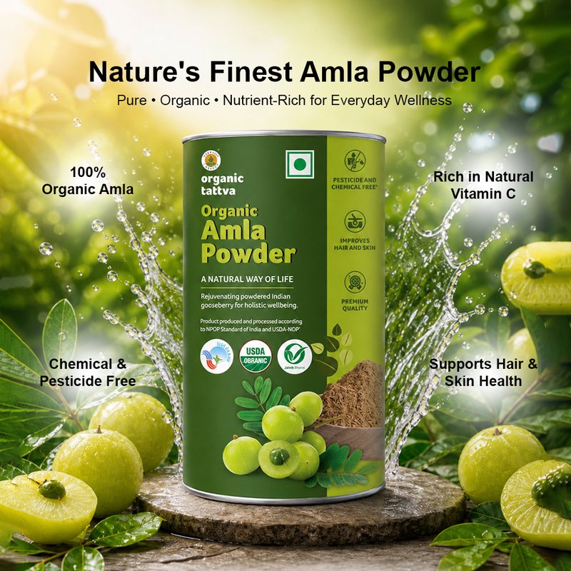 Organic Tattva Amla Powder | Organic Indian Gooseberry Powder | Ayurvedic Herbal Powder | High in Vitamin C Superfood