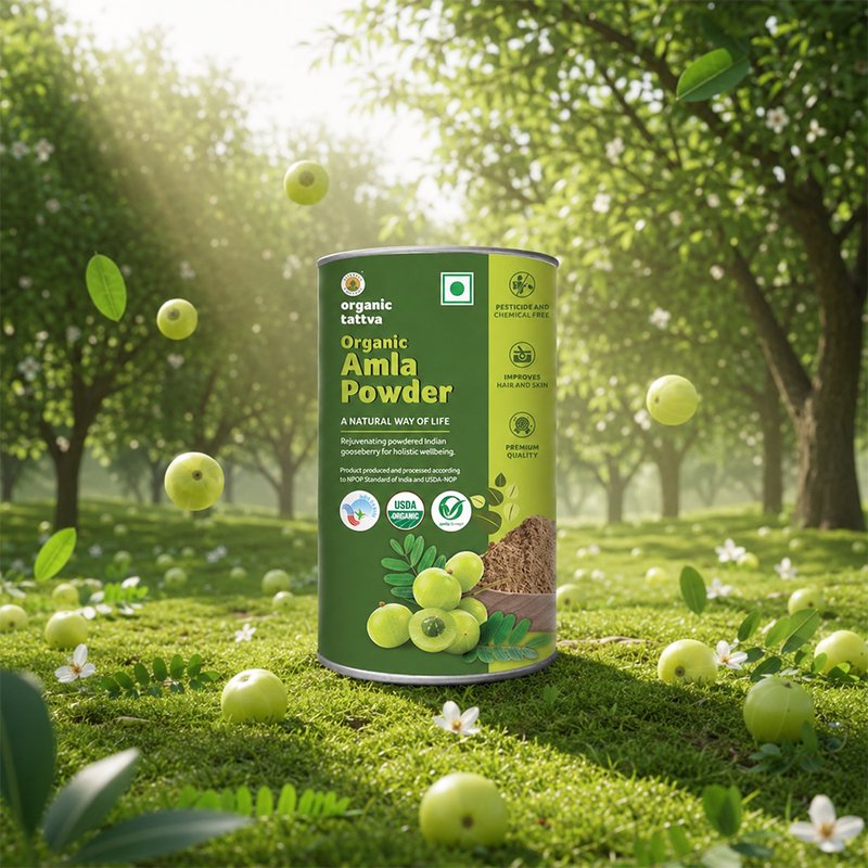 Organic Tattva Amla Powder | Organic Indian Gooseberry Powder | Ayurvedic Herbal Powder | High in Vitamin C Superfood