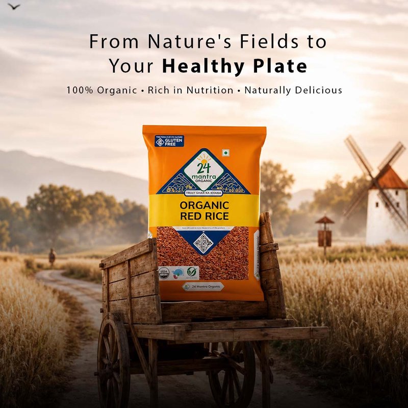 24 Mantra Organic Red Rice | Unpolished Whole Grain Rice | Naturally Rich in Fiber | Premium Organic Rice