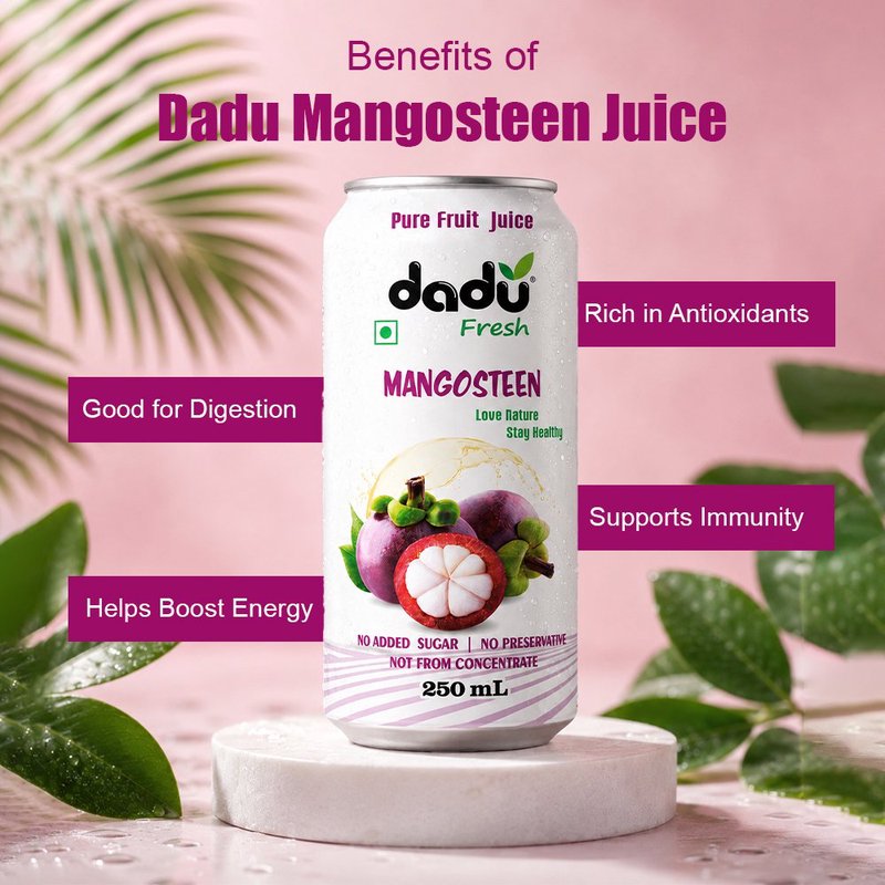 Dadu Fresh Mangosteen Juice | 4 Cans Combo | 100% Natural Exotic Superfruit Juice | Antioxidant Rich Healthy Beverage | No Added Sugar, No Preservatives & Not From Concentrate | Vitamin Rich Drink for Immunity, Skin Health, Hydration & Daily Wellness | Refreshing Fruit Juice for Kids & Adults thumbnail 3