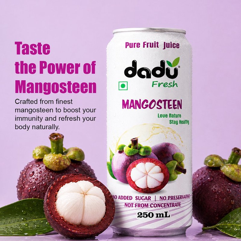 Dadu Fresh Mangosteen Juice | 4 Cans Combo | 100% Natural Exotic Superfruit Juice | Antioxidant Rich Healthy Beverage | No Added Sugar, No Preservatives & Not From Concentrate | Vitamin Rich Drink for Immunity, Skin Health, Hydration & Daily Wellness | Refreshing Fruit Juice for Kids & Adults thumbnail 4