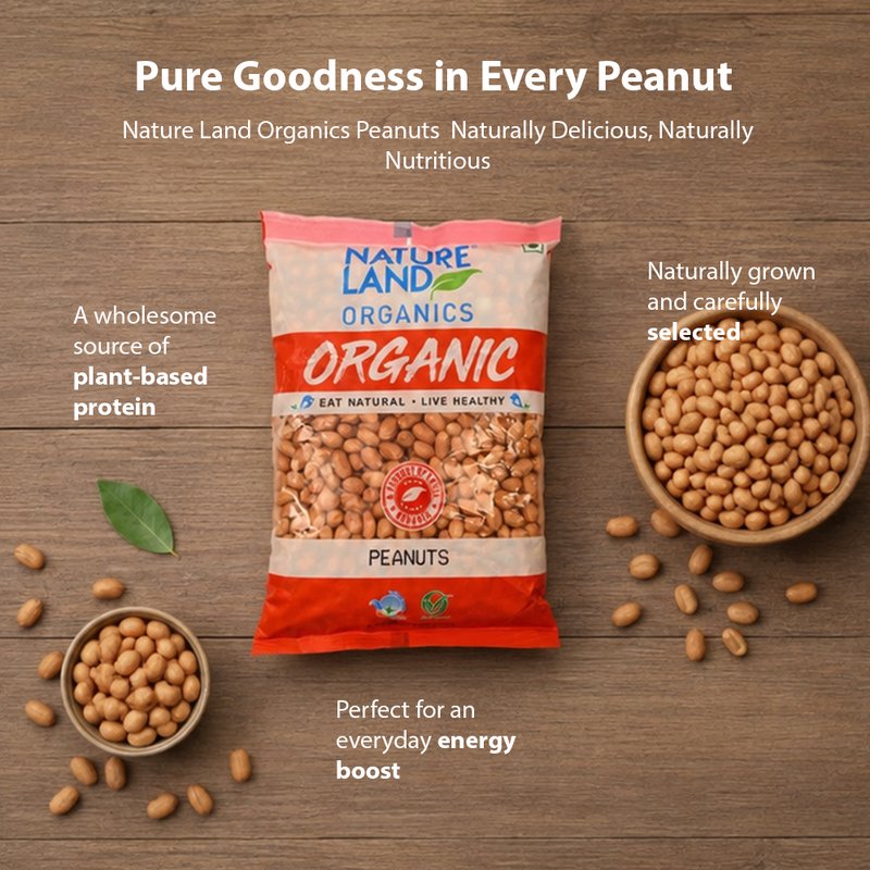 Natureland Organics Peanuts 500g | 100% Organic Raw Peanuts | Protein & Healthy Fat Rich Groundnuts for Snacking, Roasting & Cooking