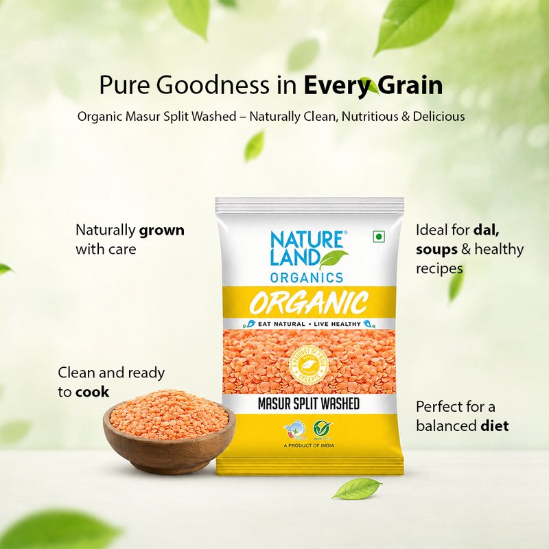 Natureland Organics Masur Split Washed 500g | 100% Organic Dhuli Masoor Dal | Protein & Fibre Rich Red Lentils for Dal, Soups & Everyday Cooking